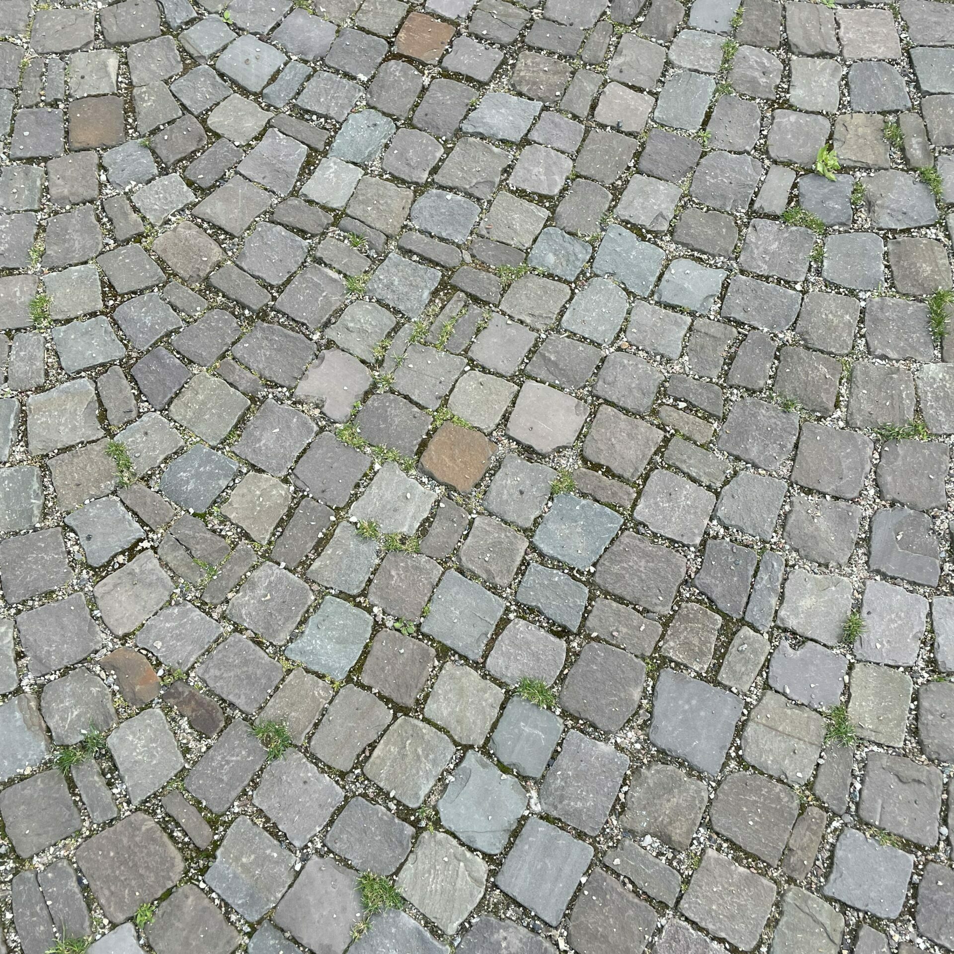 Pflastersteine bergische Grauwacke kaufen